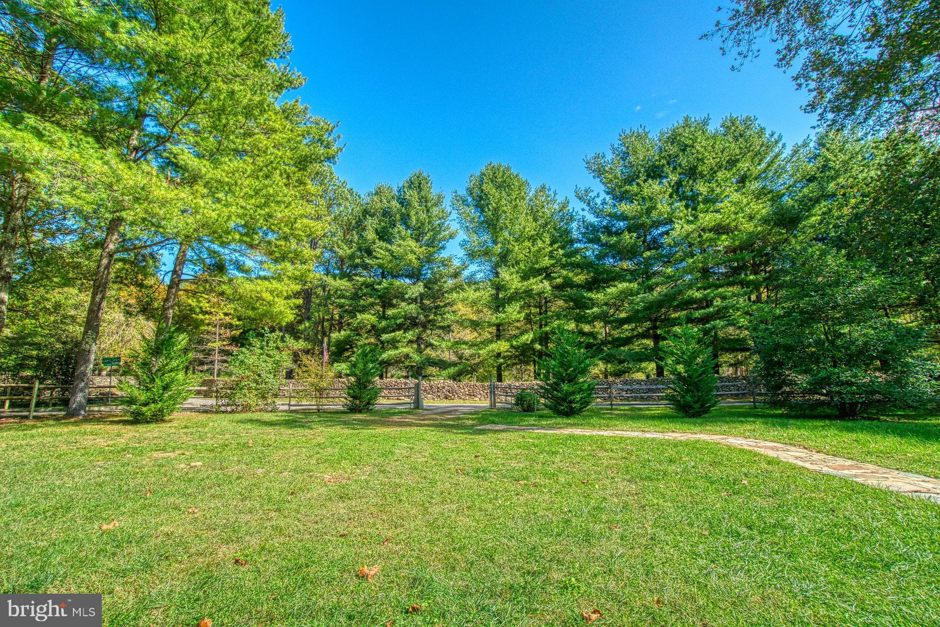 381 Swindler Hollow Road Sperryville, VA 22740 - Photo 23 of 31