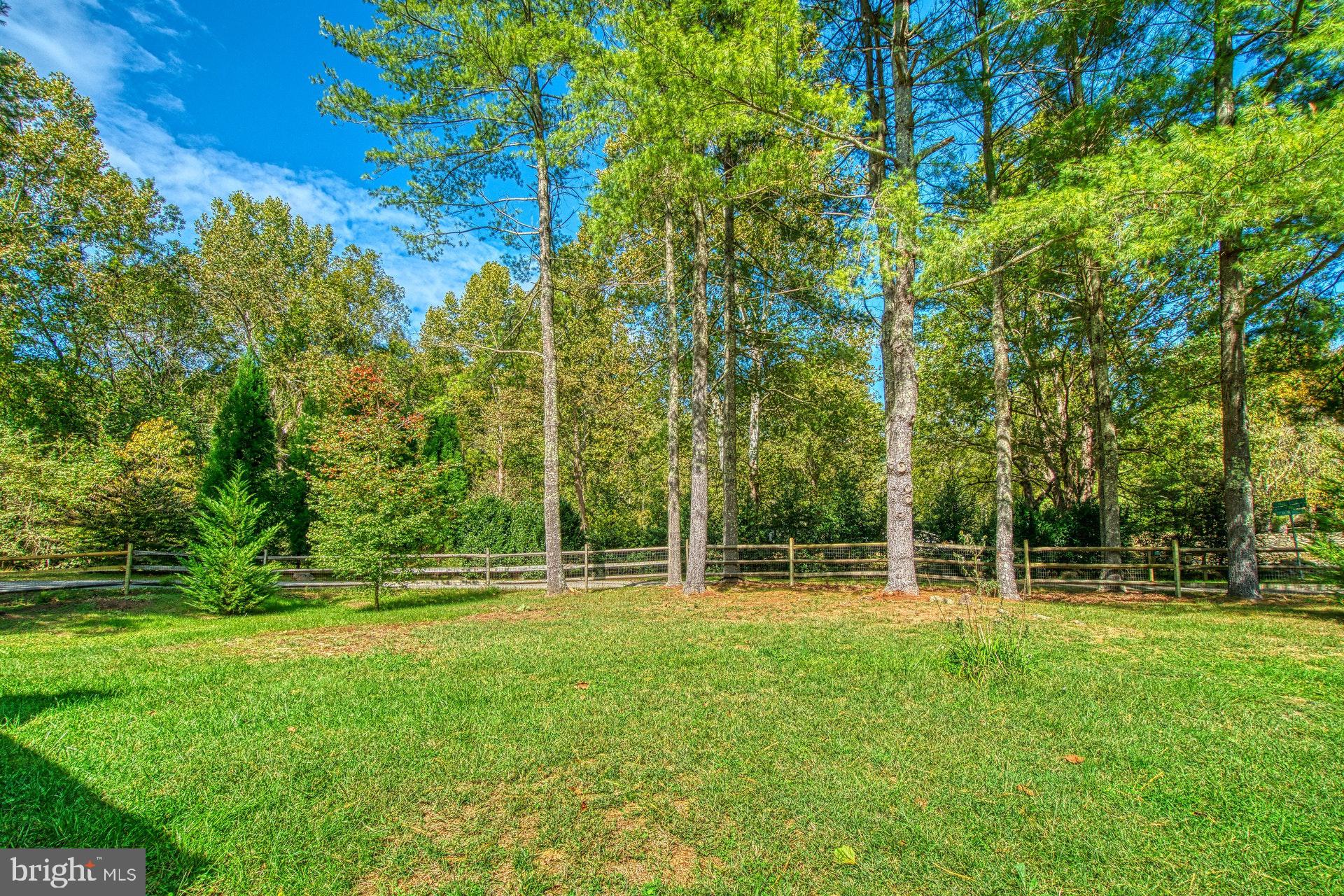 381 Swindler Hollow Road Sperryville, VA 22740 - Photo 24 of 31