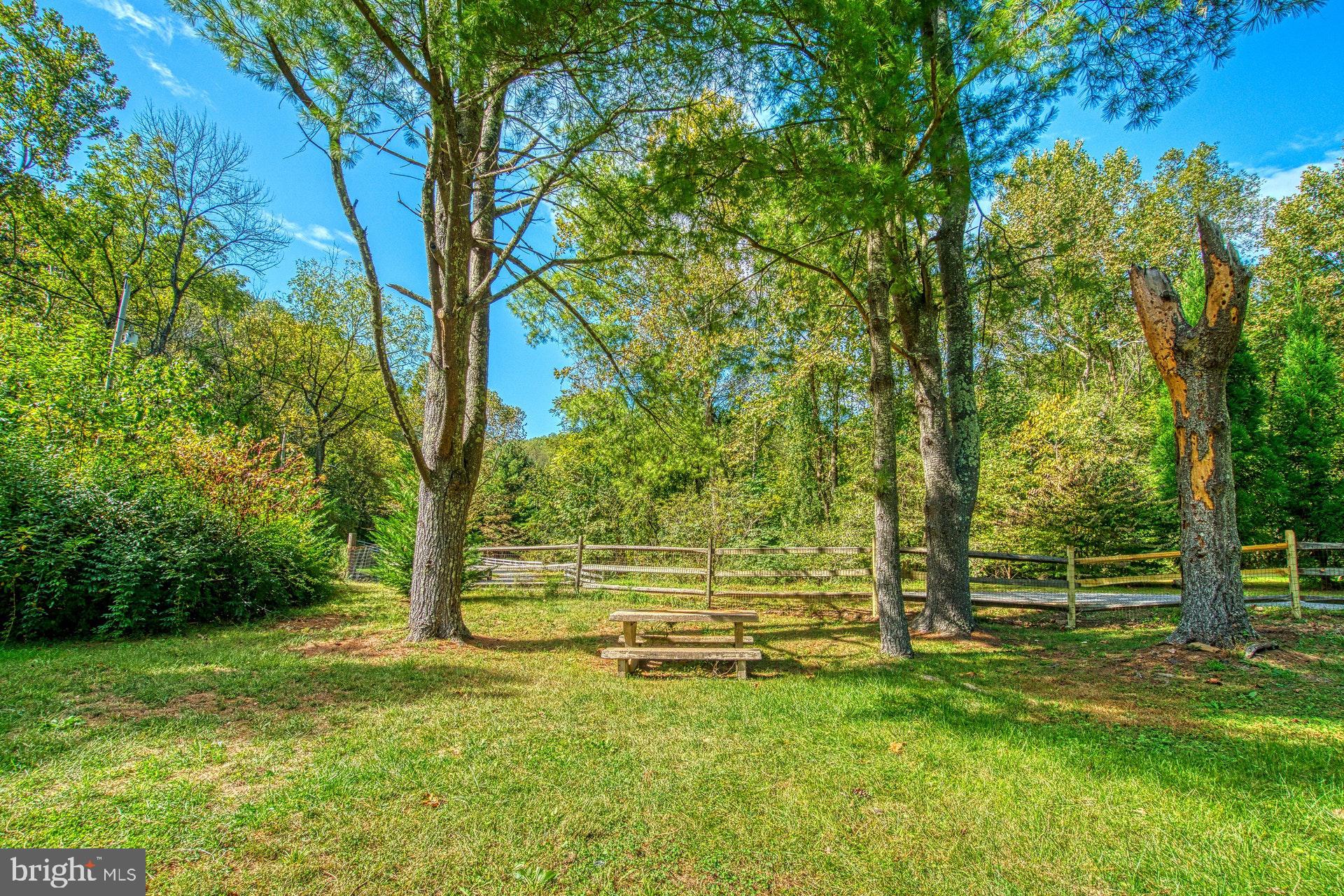 381 Swindler Hollow Road Sperryville, VA 22740 - Photo 25 of 31