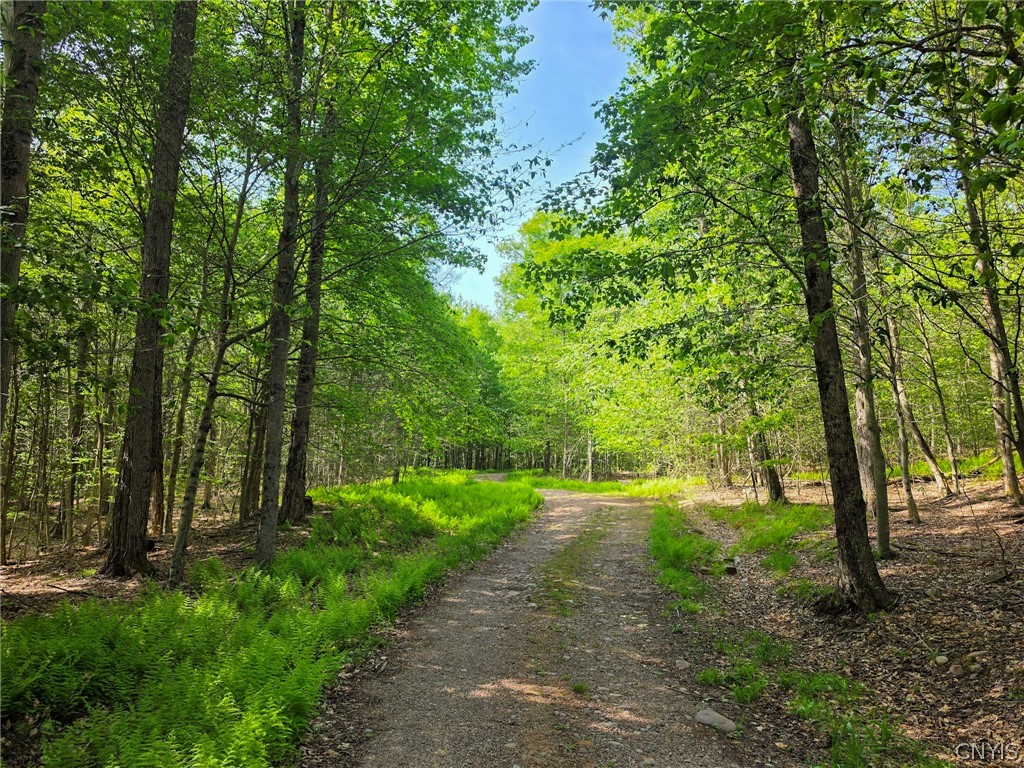 2 Tamblin Ridge Trail Bernhards Bay, NY 13028 - Photo 2 of 12