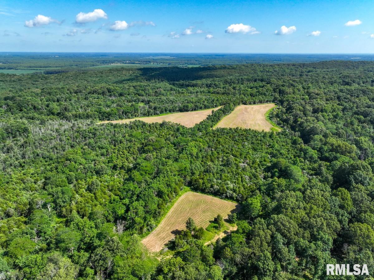 0 Tom Dick Hill Road Stonefort, IL 62987 - Photo 50 of 62