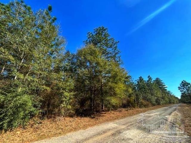 Parcel B-2 Wildlife Road Holt, FL 32564 - Photo 8 of 8 a view of a backyard of a house