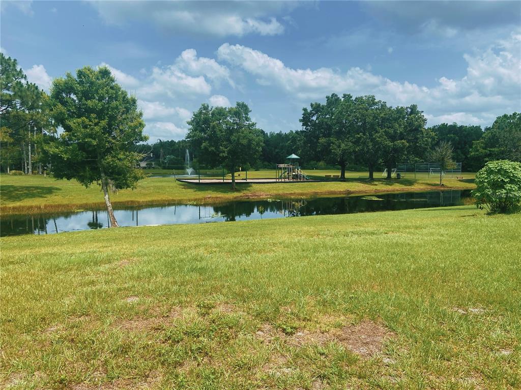 9761 Fox Chapel Road Tampa, FL 33647 - Photo 29 of 43