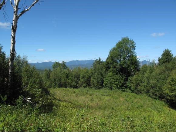 Lot 11 Worcester Ridge North Elmore, VT 05661 - Photo 1 of 1