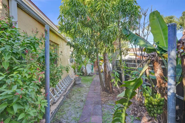 a view of a back yard