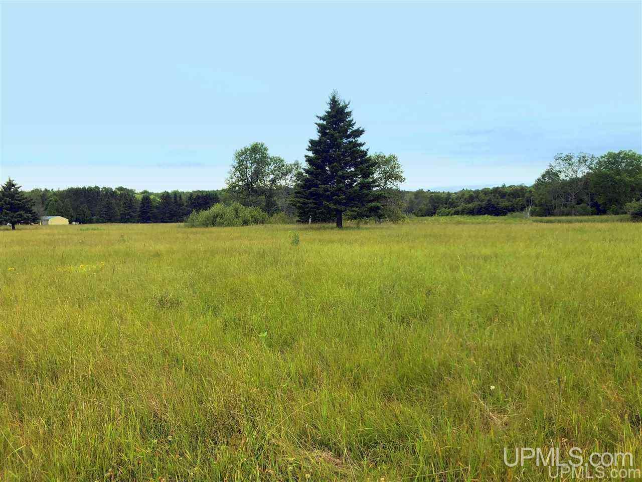 4688 12th Road Escanaba, MI 49829 - Photo 10 of 42