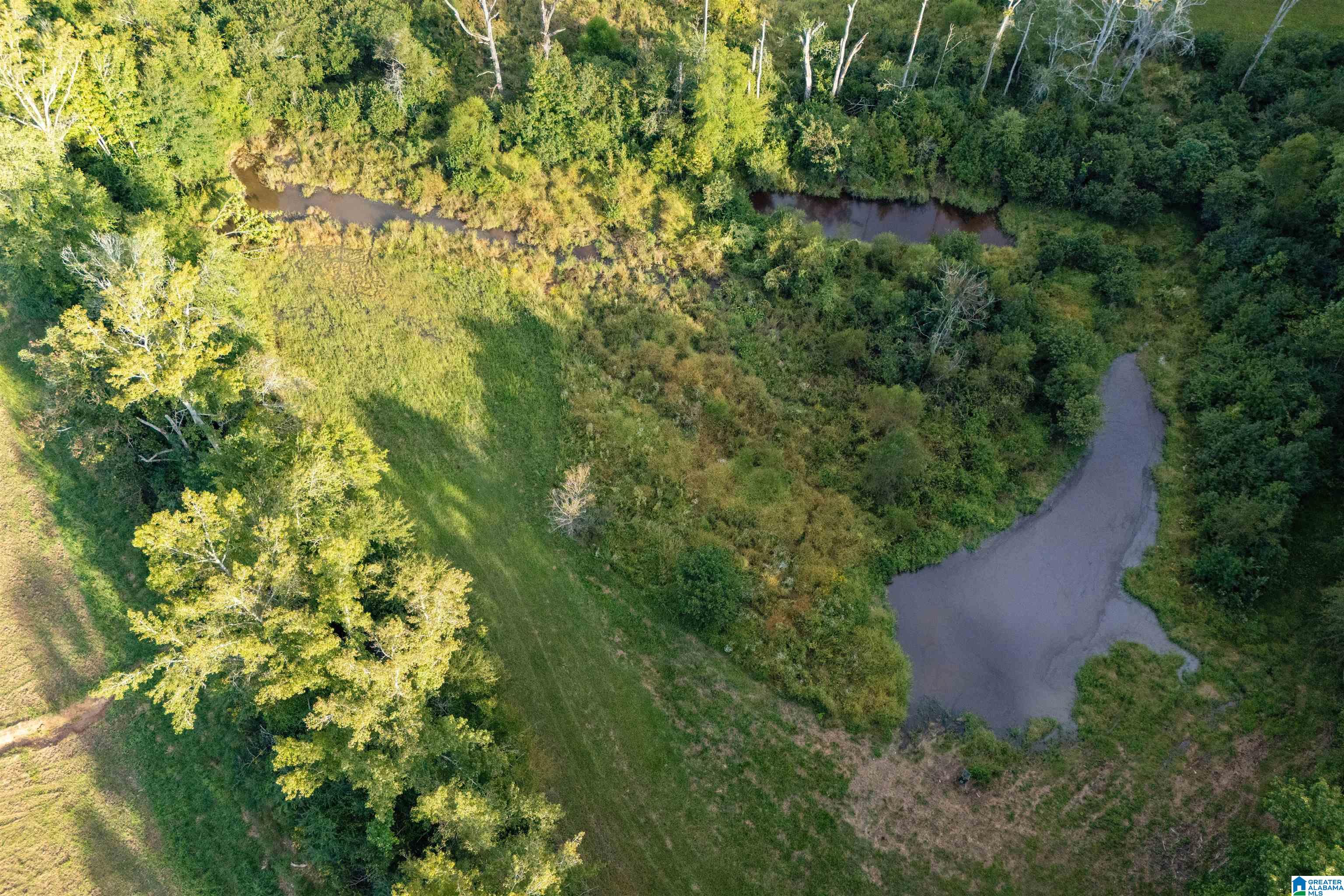 470 Gilham Road Roanoke, AL 36274 - Photo 67 of 70