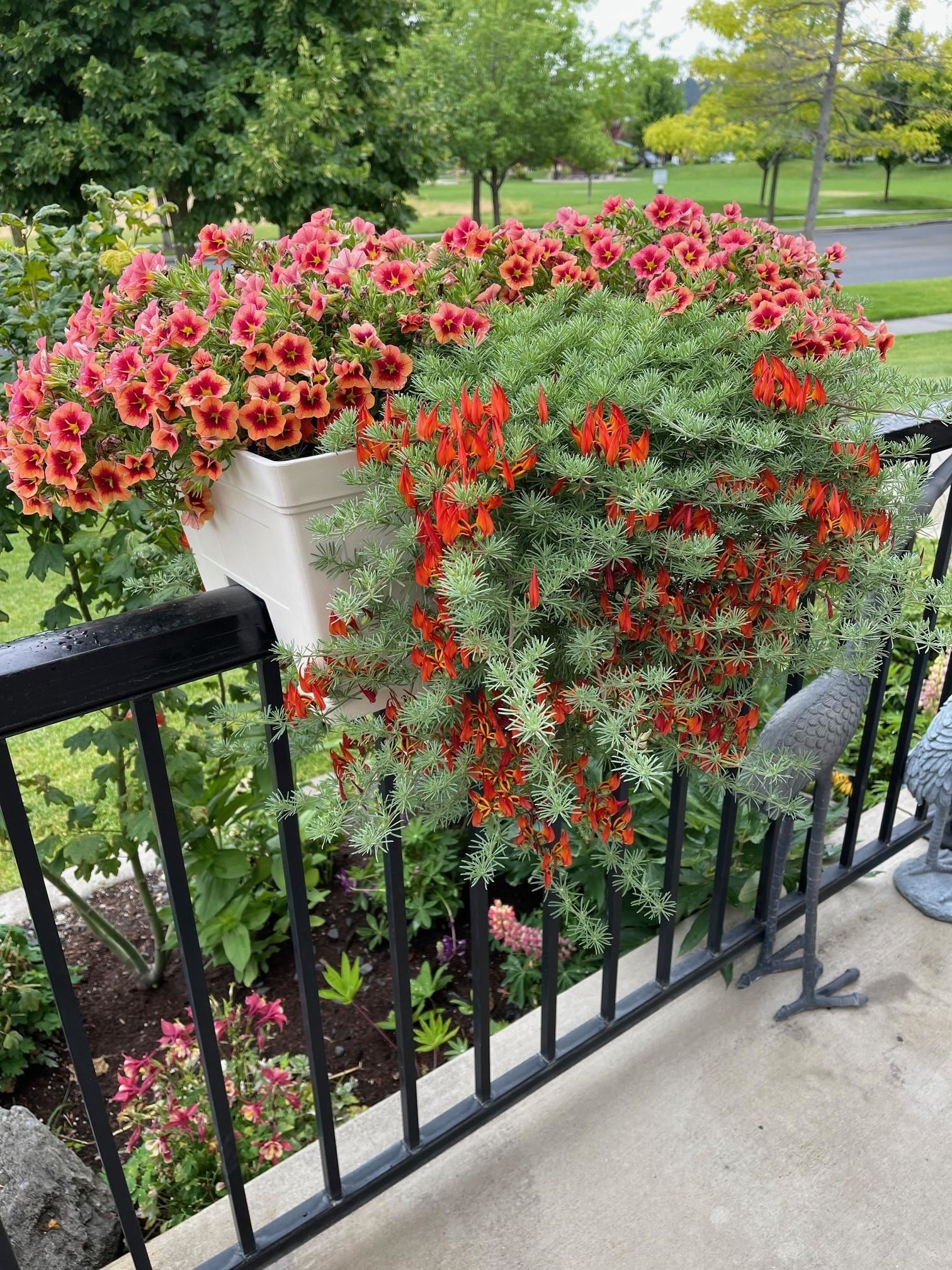 2118 West Summit Parkway Spokane, WA 99201 - Photo 43 of 50