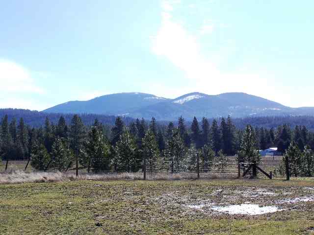 37912 North Madison Road Elk, WA 99009 - Photo 7 of 9 Gallery Image 7