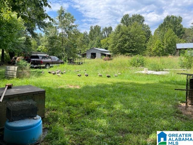 524 Twin Churches Road Munford, AL 36268 - Photo 39 of 43