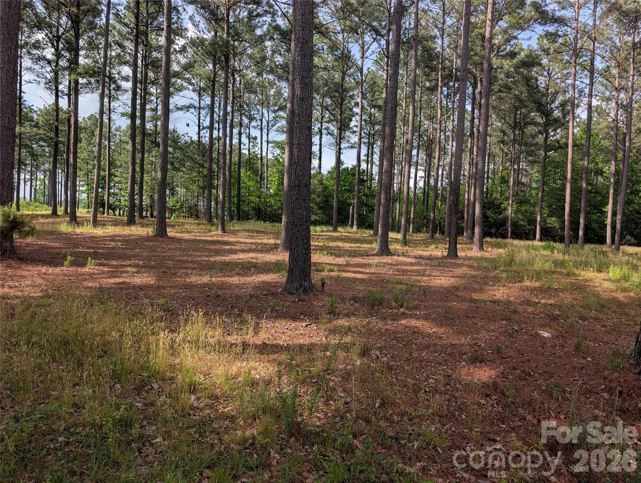 0 Blessed Hope Road, Unit TRACT 2 York, SC 29745 - Photo 5 of 5 a ground with lots of trees