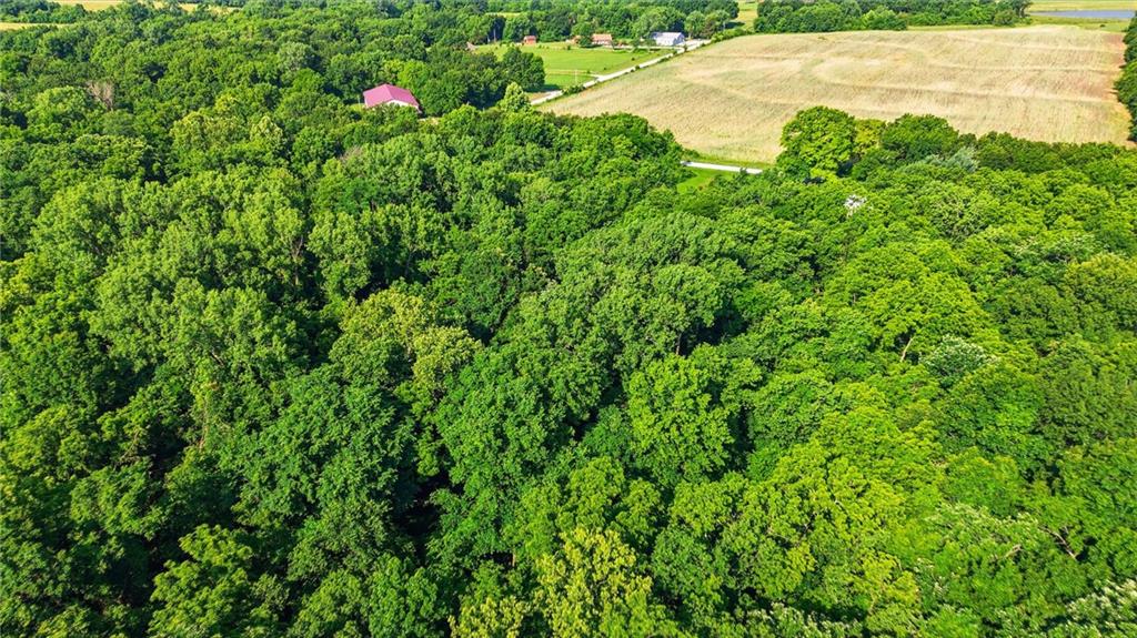 22207 South Excelsior Road Harrisonville, MO 64701 - Photo 32 of 38