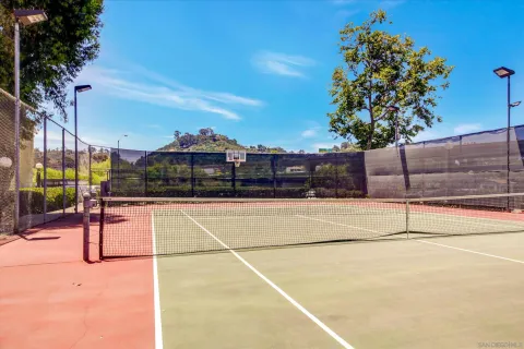 a view of a basket ball ground