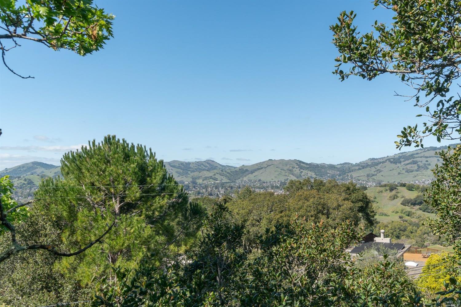 41 Half Moon Road Novato, CA 94947 - Photo 1 of 1 a view of a mountain with a tree in the background