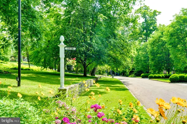 a view of a backyard with small plants