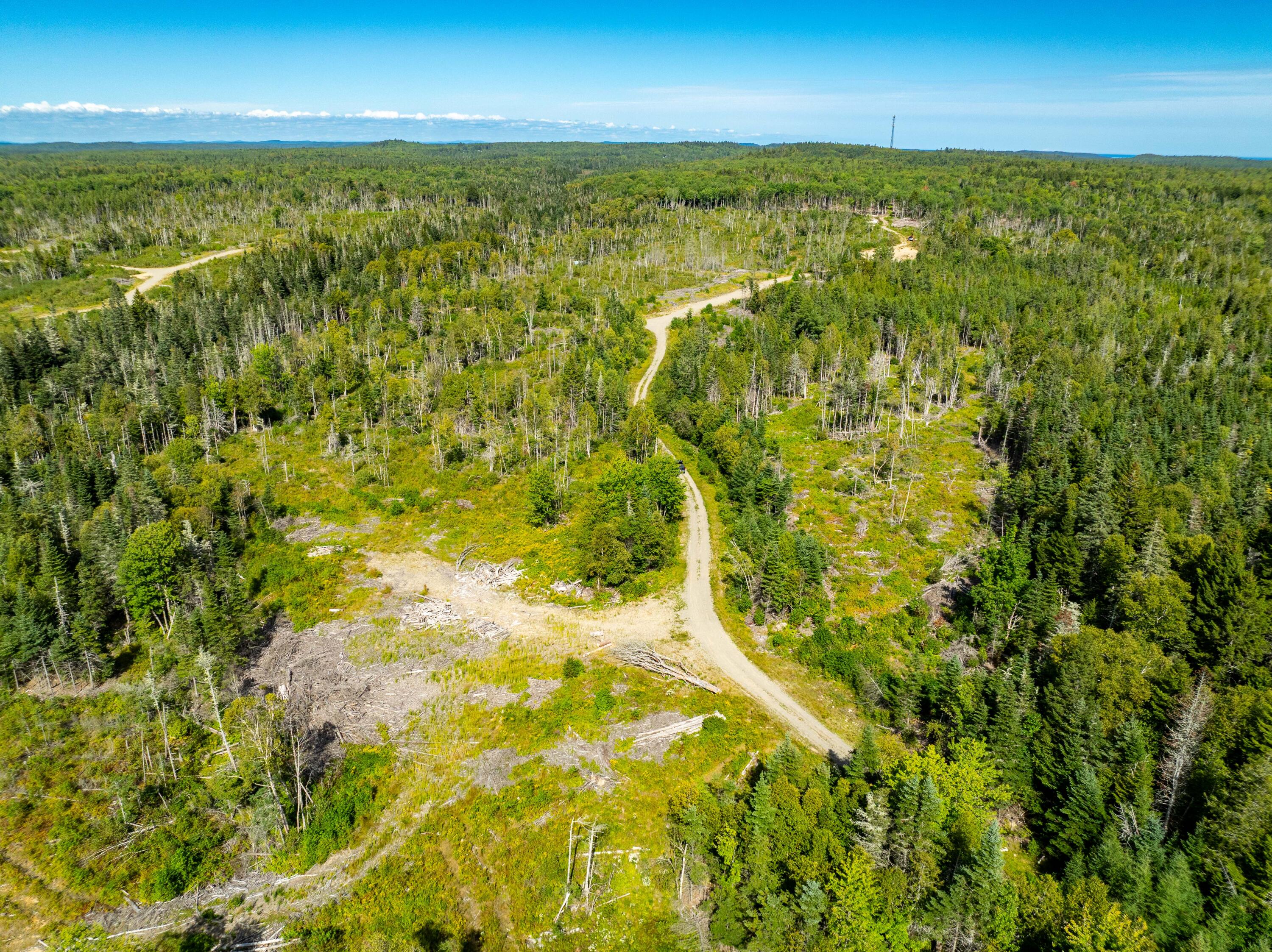 2 Map Lubec, ME 04652 - Photo 42 of 79 530+- acres Trescott Twp Maine (42 of 80
