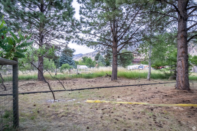 435 Canyon Road Millville, UT 84326 - Photo 68 of 113 Expansive outdoor space featuring mature pine trees, a partial wire fence, and distant mountain scenery
