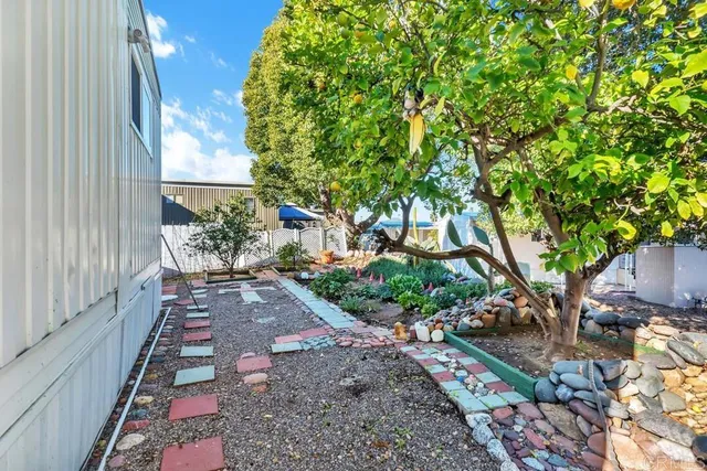 a view of a yard with plants and a large tree