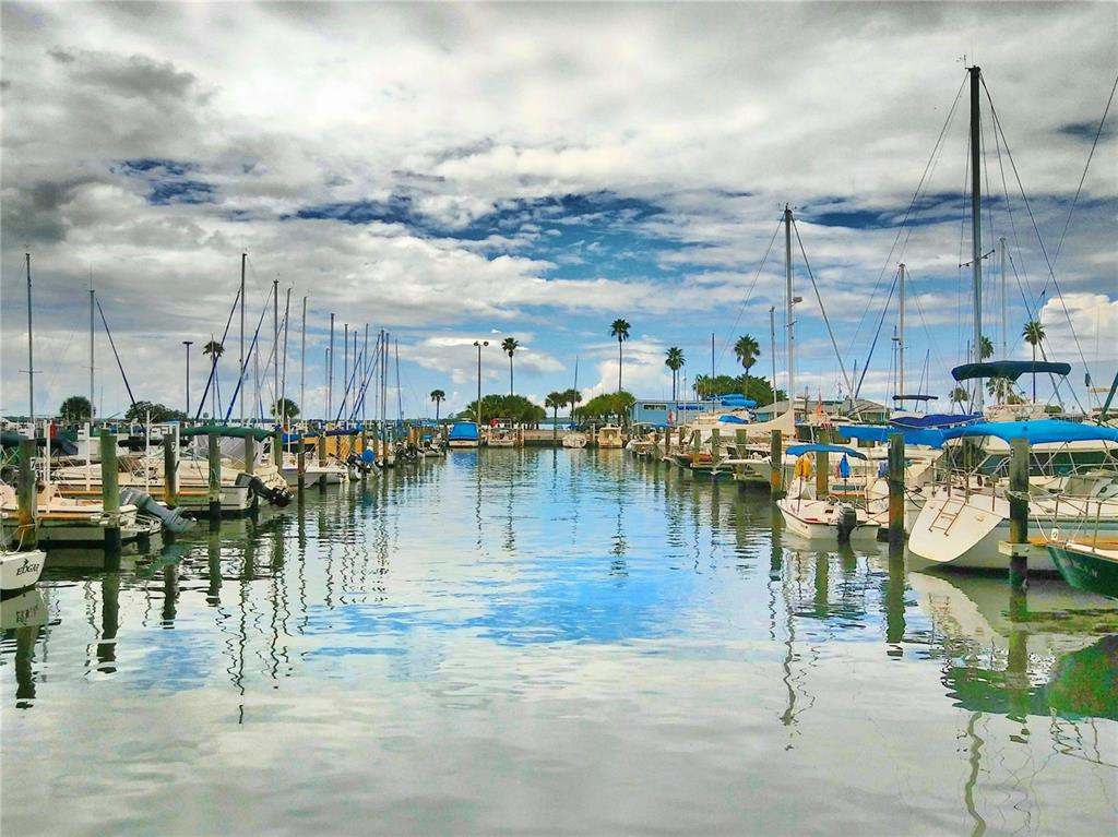 9 Haig Place, Unit 104 Dunedin, FL 34698 - Photo 59 of 59