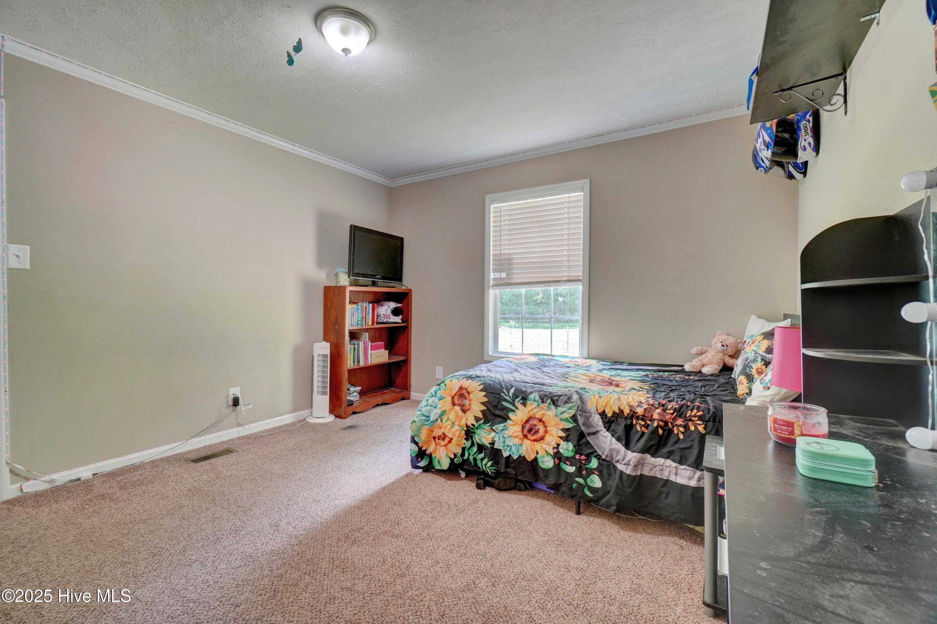 31 Rountree Wds Eure, NC 27935 - Photo 28 of 42 27