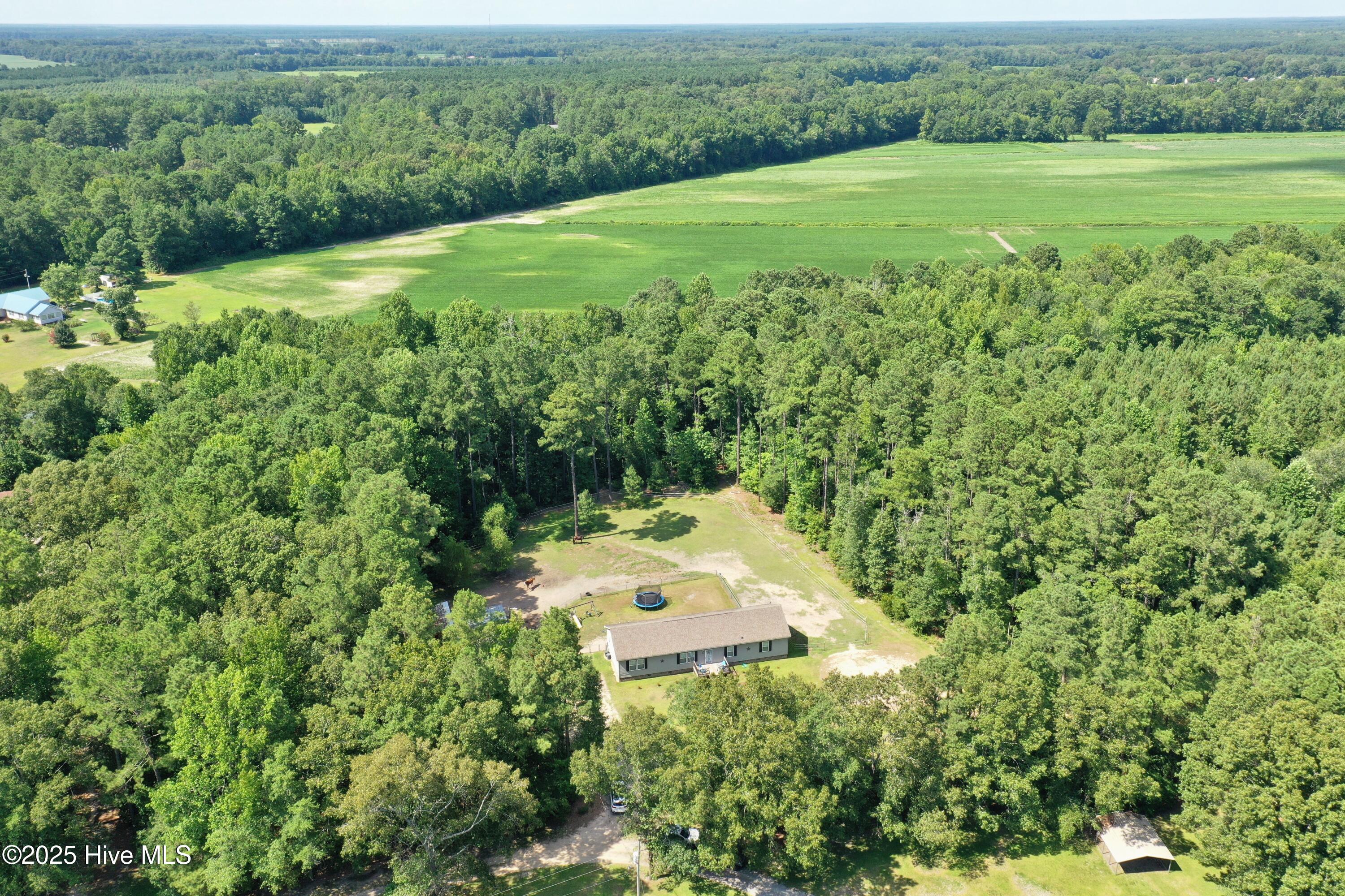 31 Rountree Wds Eure, NC 27935 - Photo 3 of 42 02