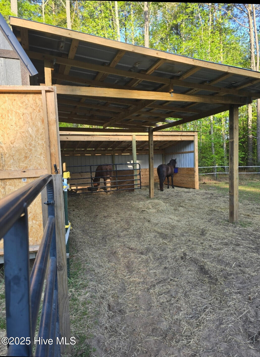 31 Rountree Wds Eure, NC 27935 - Photo 33 of 42 32