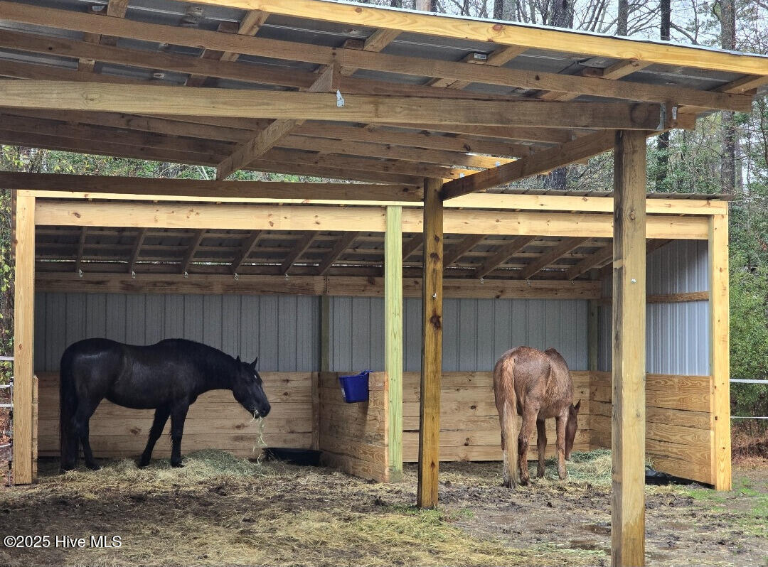 31 Rountree Wds Eure, NC 27935 - Photo 4 of 42 04