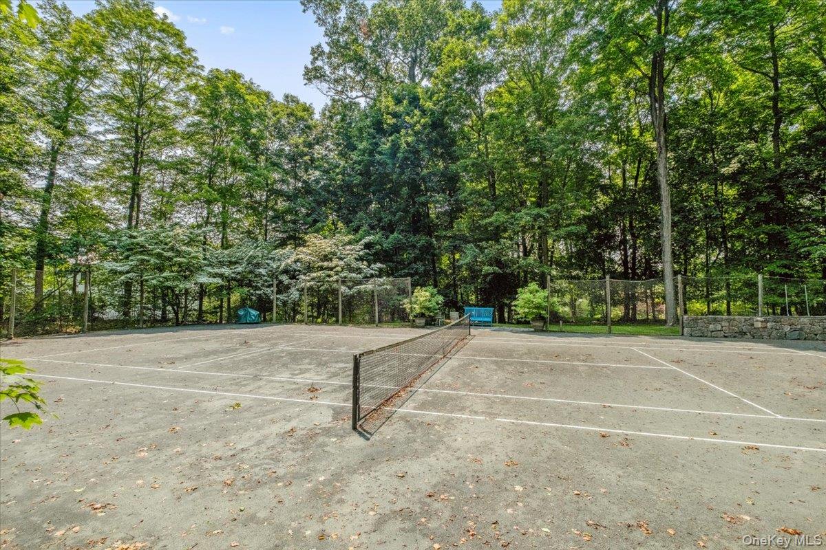 18 Richbell Road Scarsdale, NY 10583 - Photo 7 of 40 Har-Tru clay tennis court fully maintained