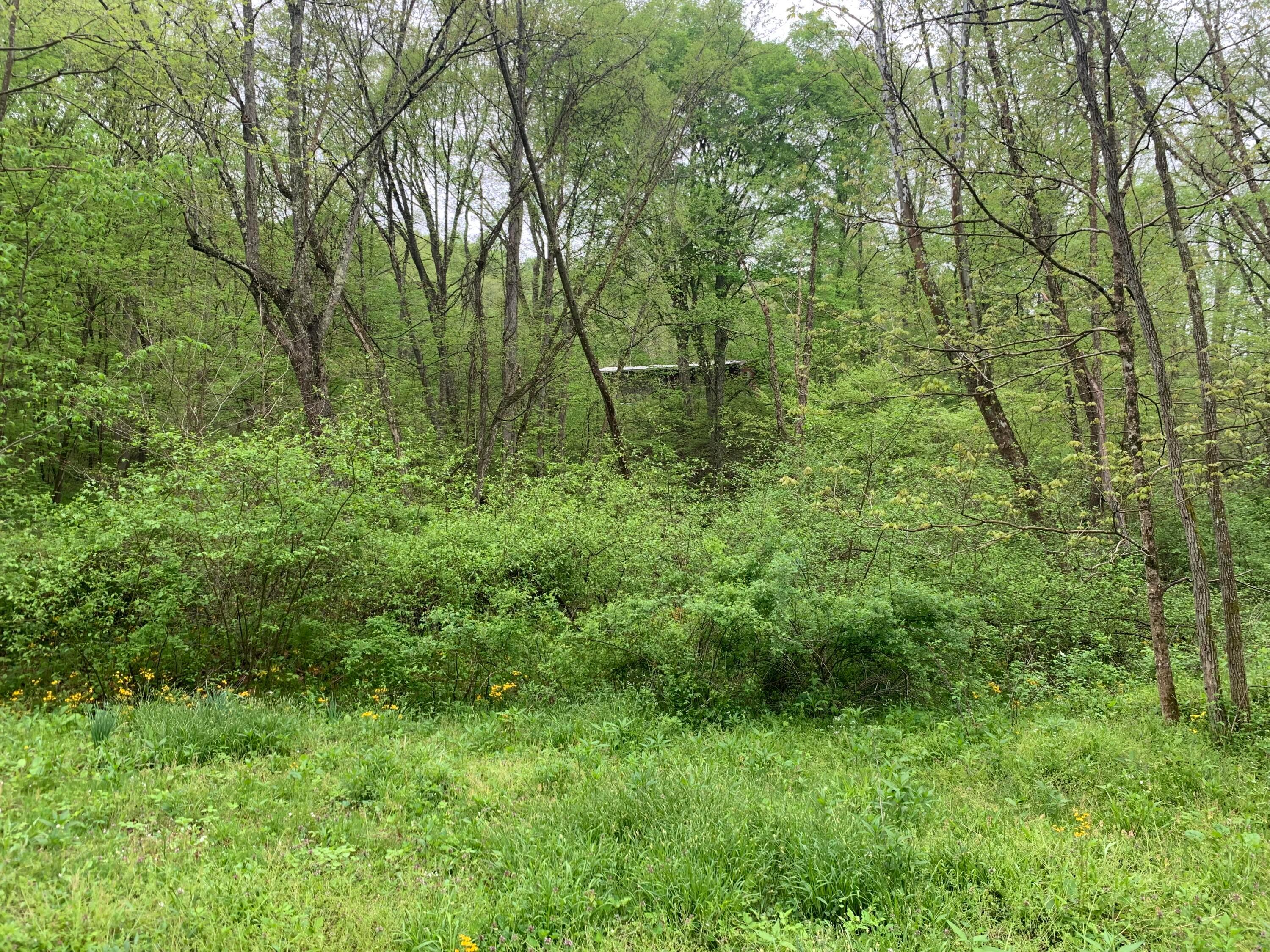 71850 Grey Road Vinton, OH 45686 - Photo 3 of 19 View of House Structure from Road