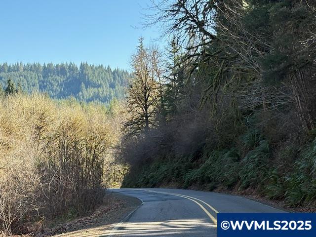 0 Logsden Road Blodgett, OR 97326 - Photo 24 of 24
