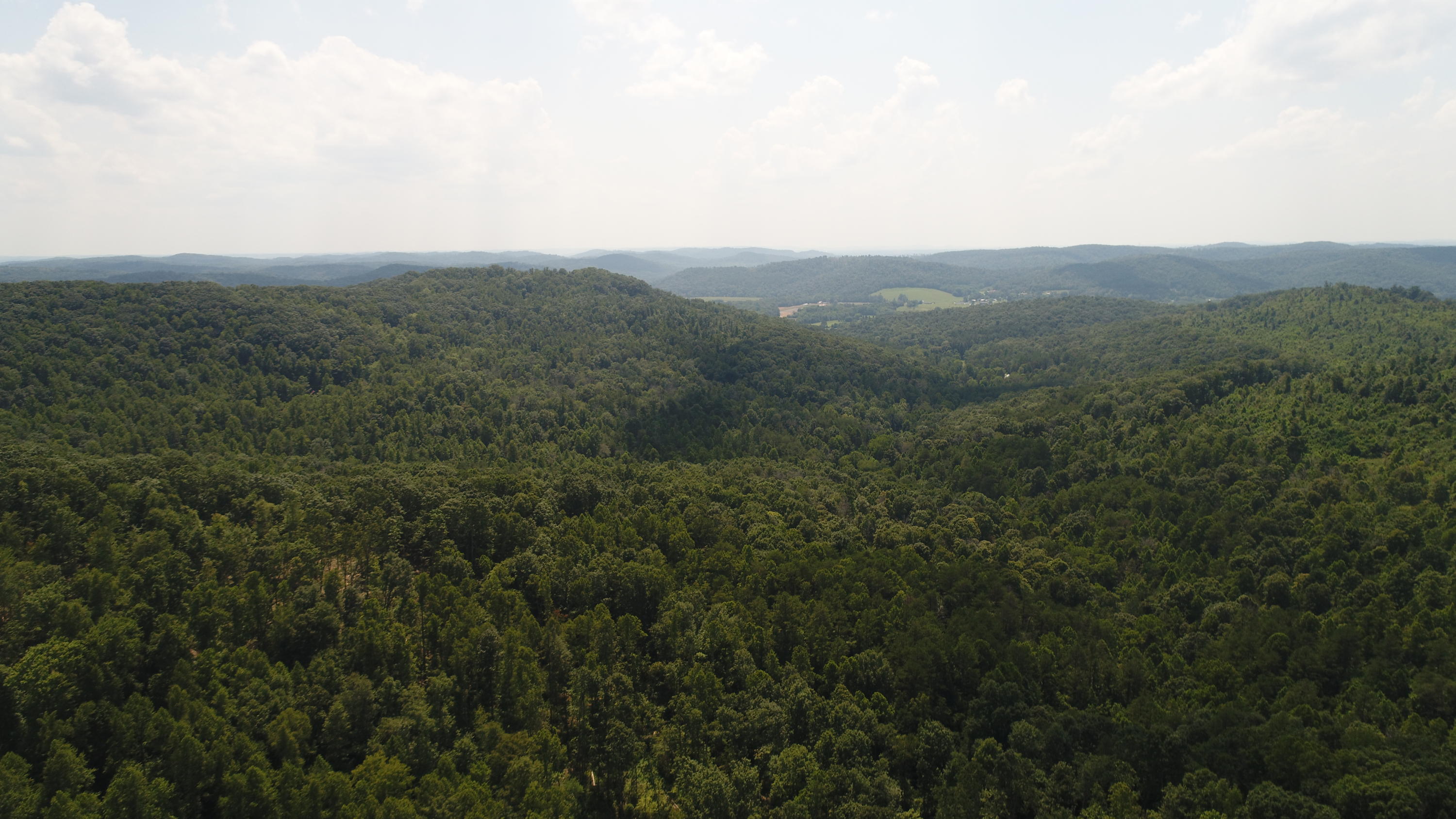 3006 Piney Grove Road Somerset, KY 42501 - Photo 46 of 52 DJI_0645