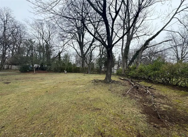a view of a yard with a tree