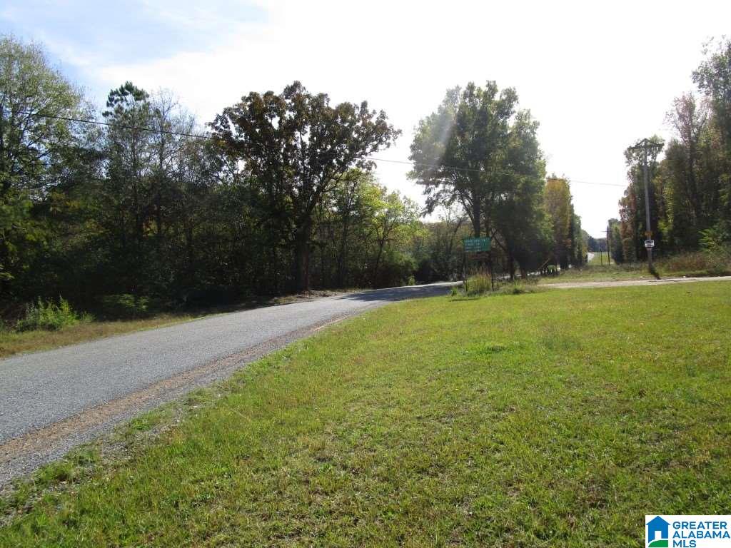 5823 McGowans Ferry Road Childersburg, AL 35044 - Photo 27 of 27