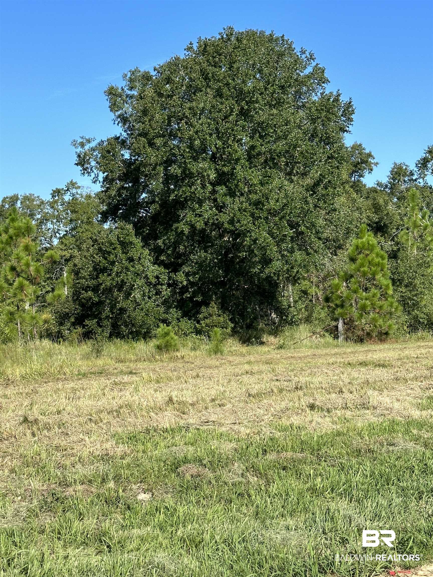 0 Hampton Ridge Mobile, AL 36608 - Photo 1 of 7