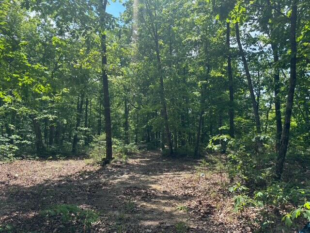 590 Black Mountain Road Dunlap, TN 37327 - Photo 14 of 20 IMG_6647