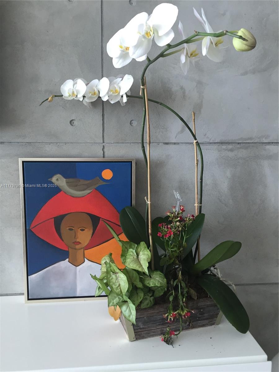 350 Ocean Drive, Unit 304N Key Biscayne, FL 33149 - Photo 14 of 69