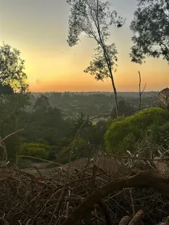 a view of a yard with an outdoor space
