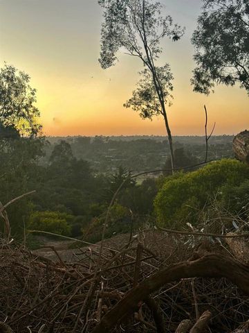 a view of a yard with an outdoor space
