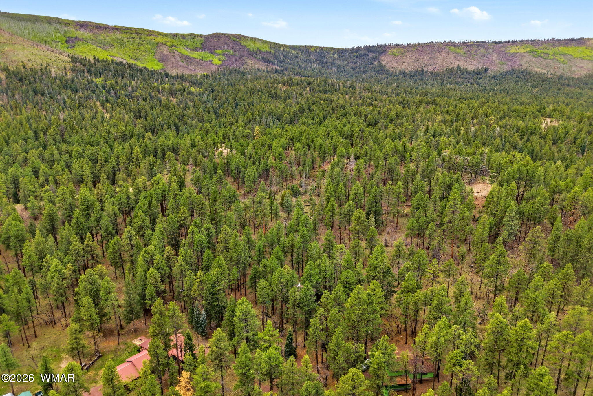 2 Cr 2050 Alpine, AZ 85920 - Photo 25 of 31 2CR2050-Alpine-AZ-27