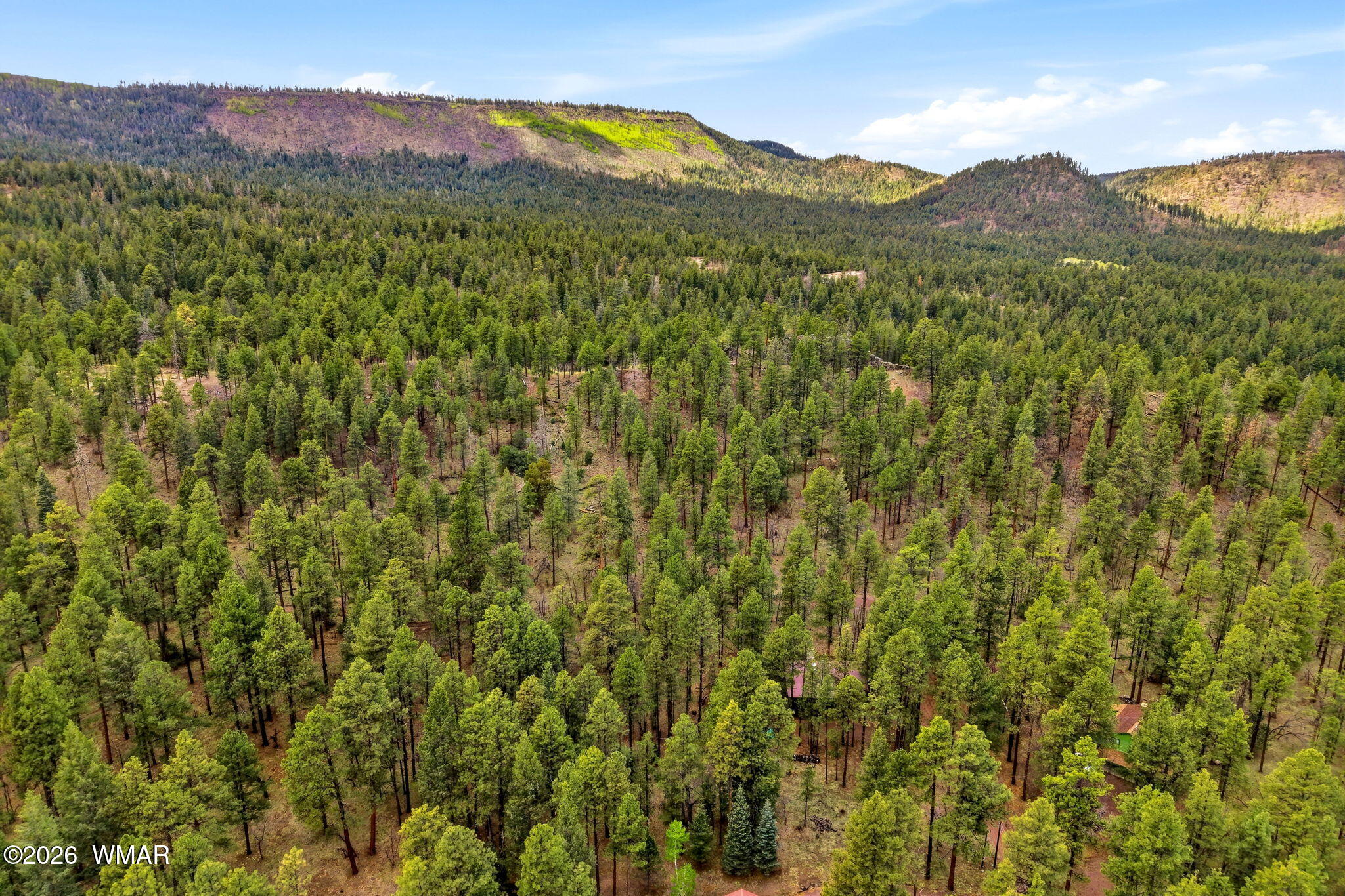 2 Cr 2050 Alpine, AZ 85920 - Photo 26 of 31 2CR2050-Alpine-AZ-28