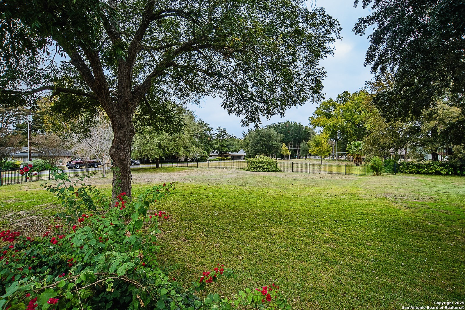 0 Royal George McQueeney, TX 78123 - Photo 1 of 4 a view of outdoor space with garden
