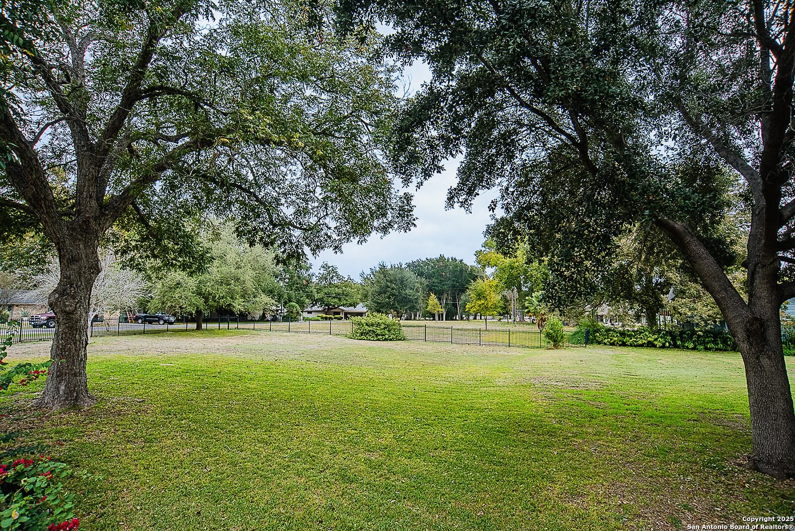 0 Royal George McQueeney, TX 78123 - Photo 3 of 4 a view of a yard with a large trees