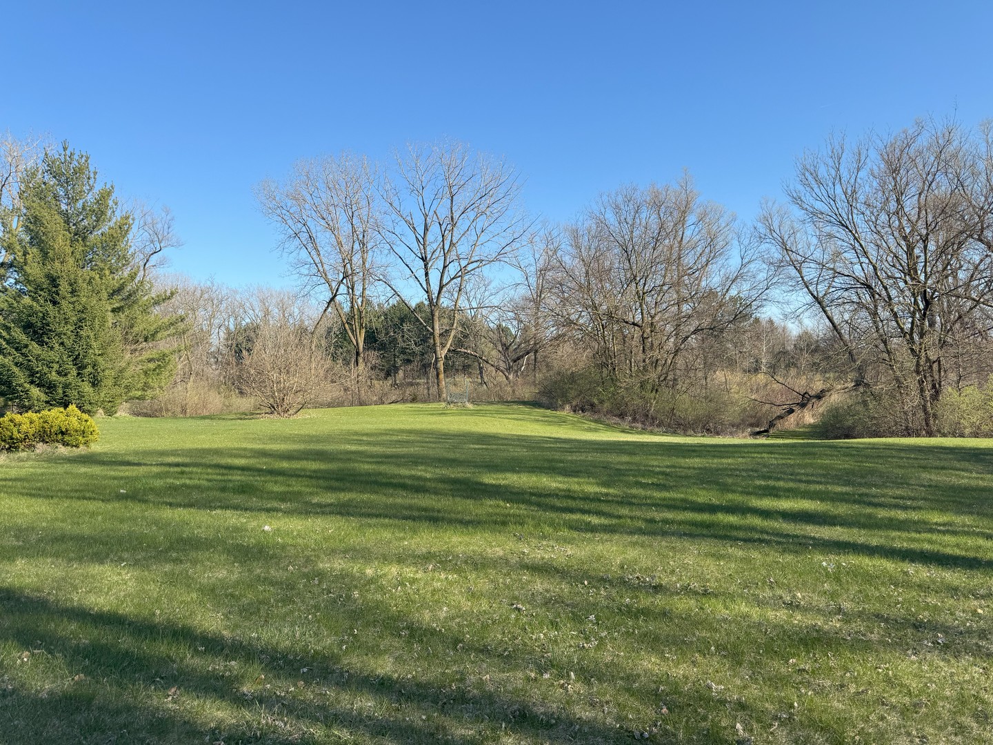 17N753 Widmayer Road Hampshire, IL 60140 - Photo 26 of 30 a big yard with lots of green space
