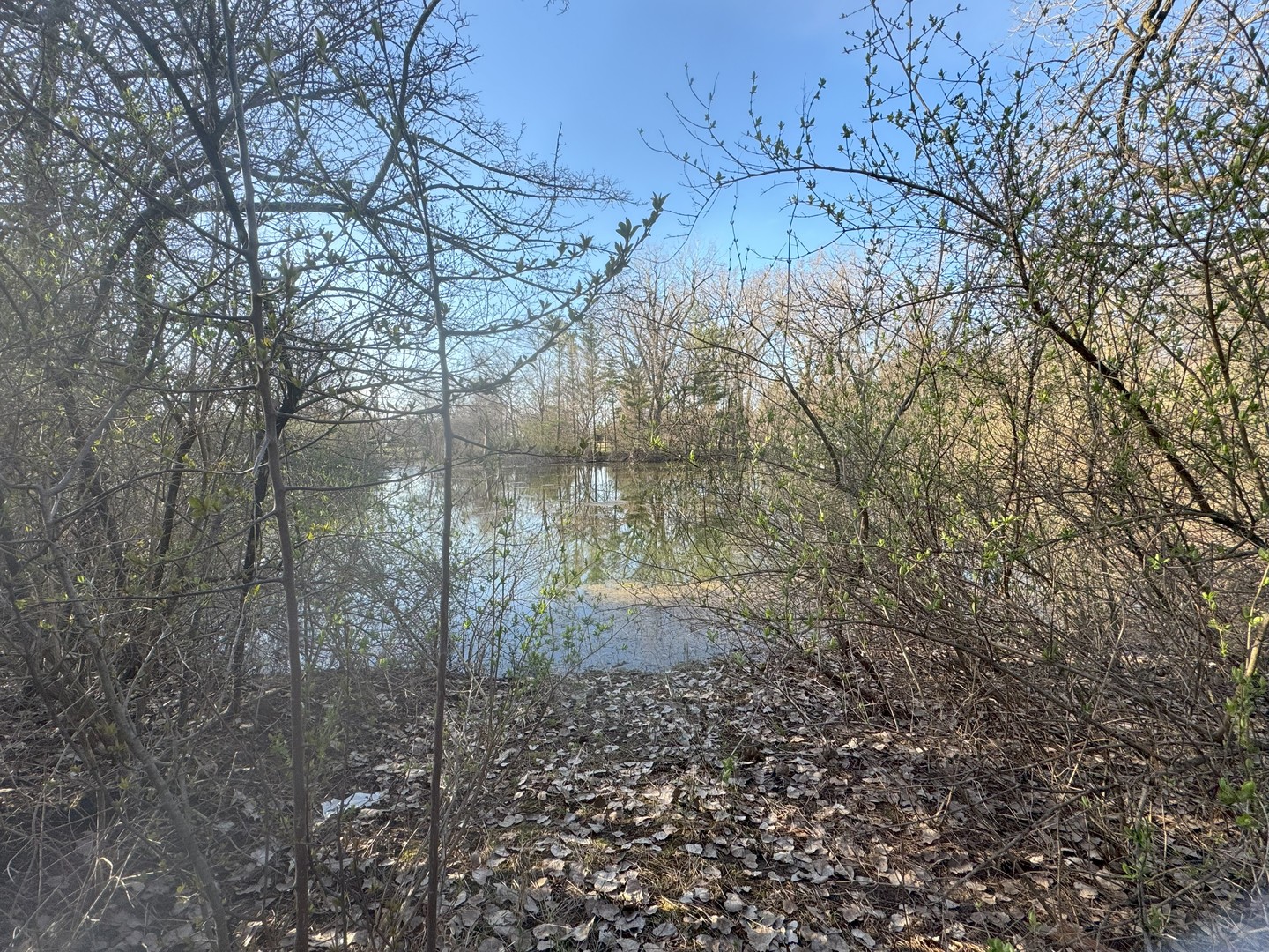 17N753 Widmayer Road Hampshire, IL 60140 - Photo 30 of 30 a backyard of a house with lots of green space