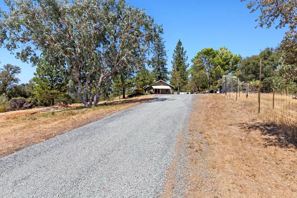 13467 Lake Francis Road Dobbins, CA 95935 - Photo 44 of 54 a view of a backyard of a house