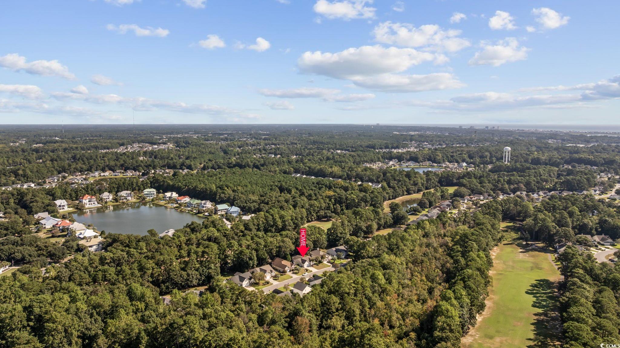 4618 Fringetree Drive Murrells Inlet, SC 29576 - Photo 36 of 40 Bird's eye view of a forest and a nearby body of water