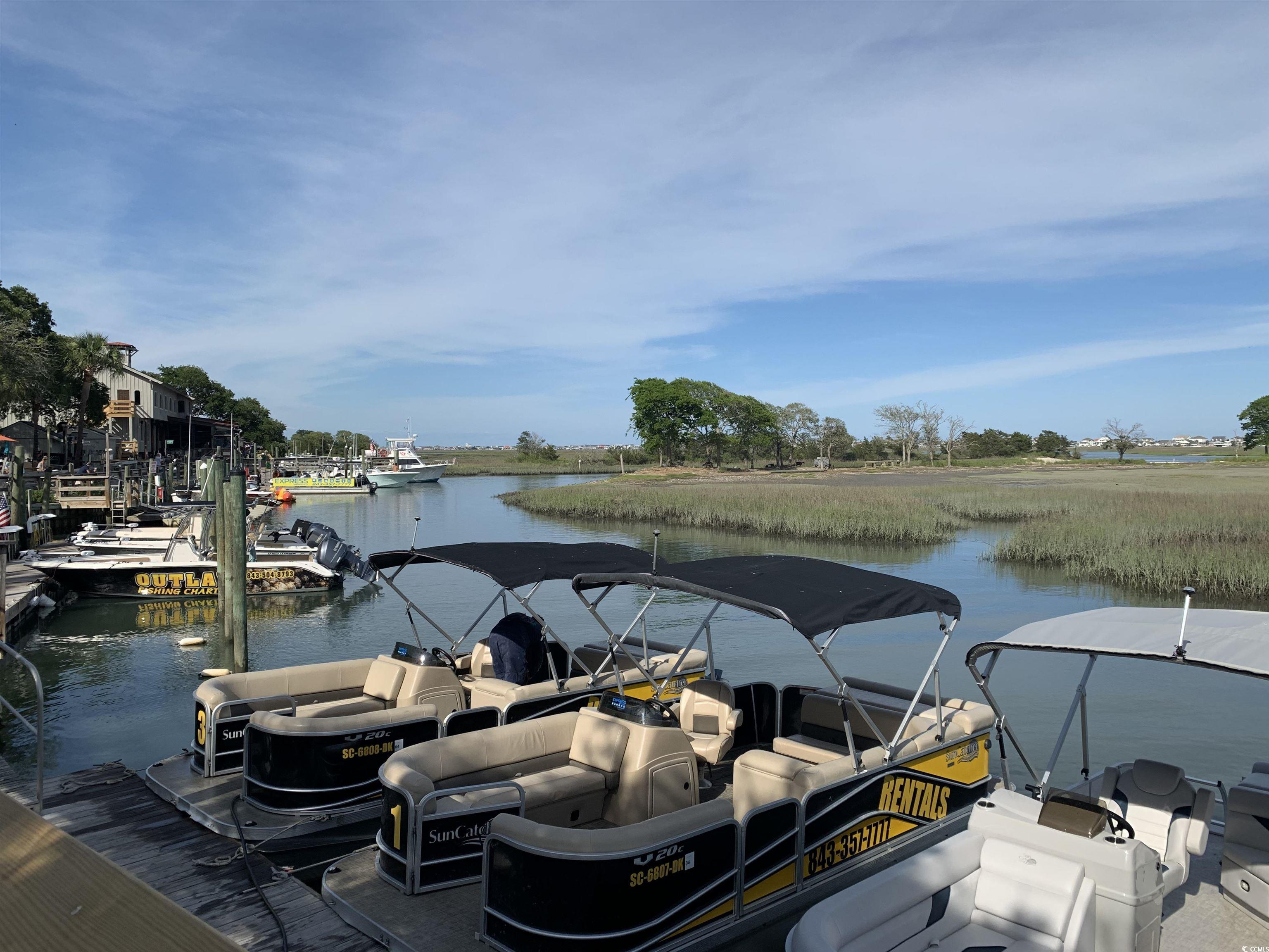 4618 Fringetree Drive Murrells Inlet, SC 29576 - Photo 38 of 40 Dock featuring a water view