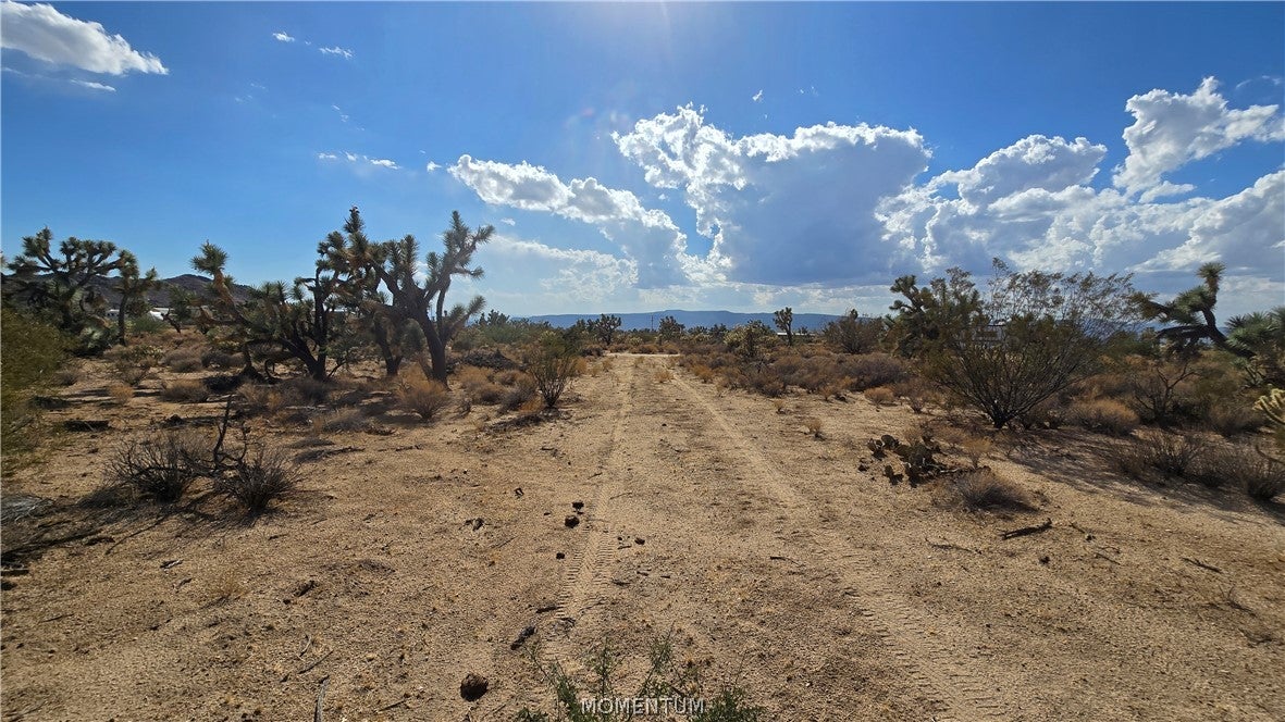 208-27-196d South Kinard Road Yucca, AZ 86438 - Photo 14 of 29 Gallery Image 14