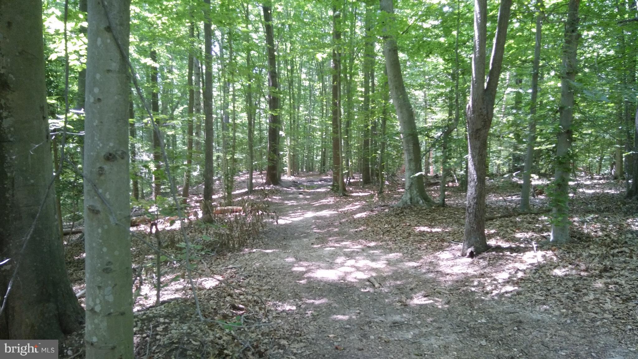 0 Norman Road Stafford, VA 22554 - Photo 1 of 3 View