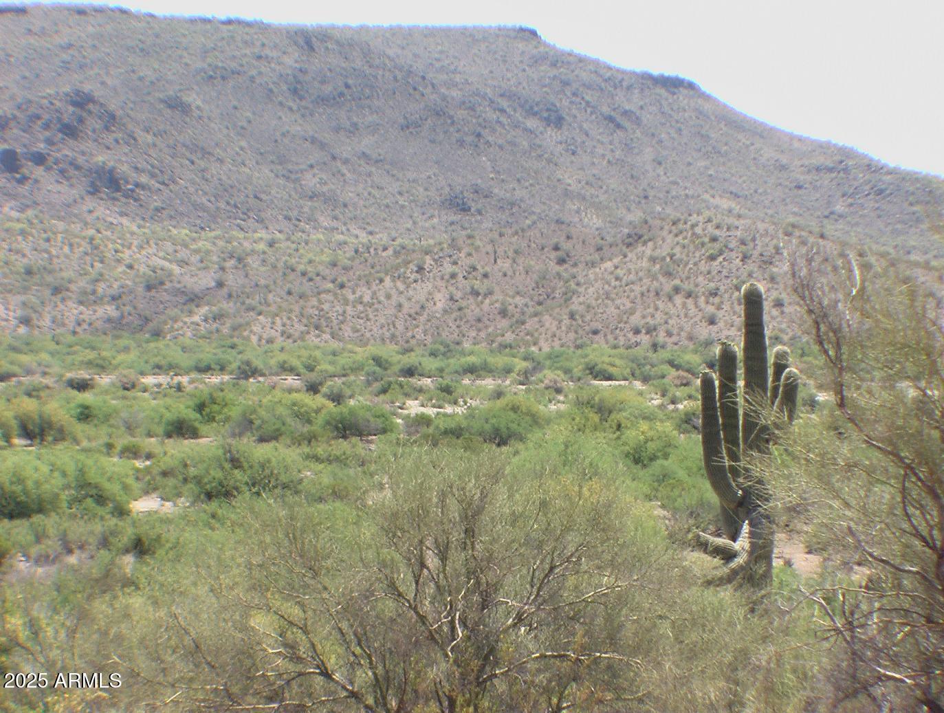 a view of a dry field with mountains in the background